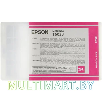 Картридж Epson C13T603B00 картинка 2